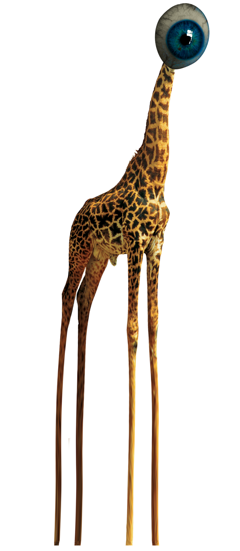 Eve66-Giraffe.png