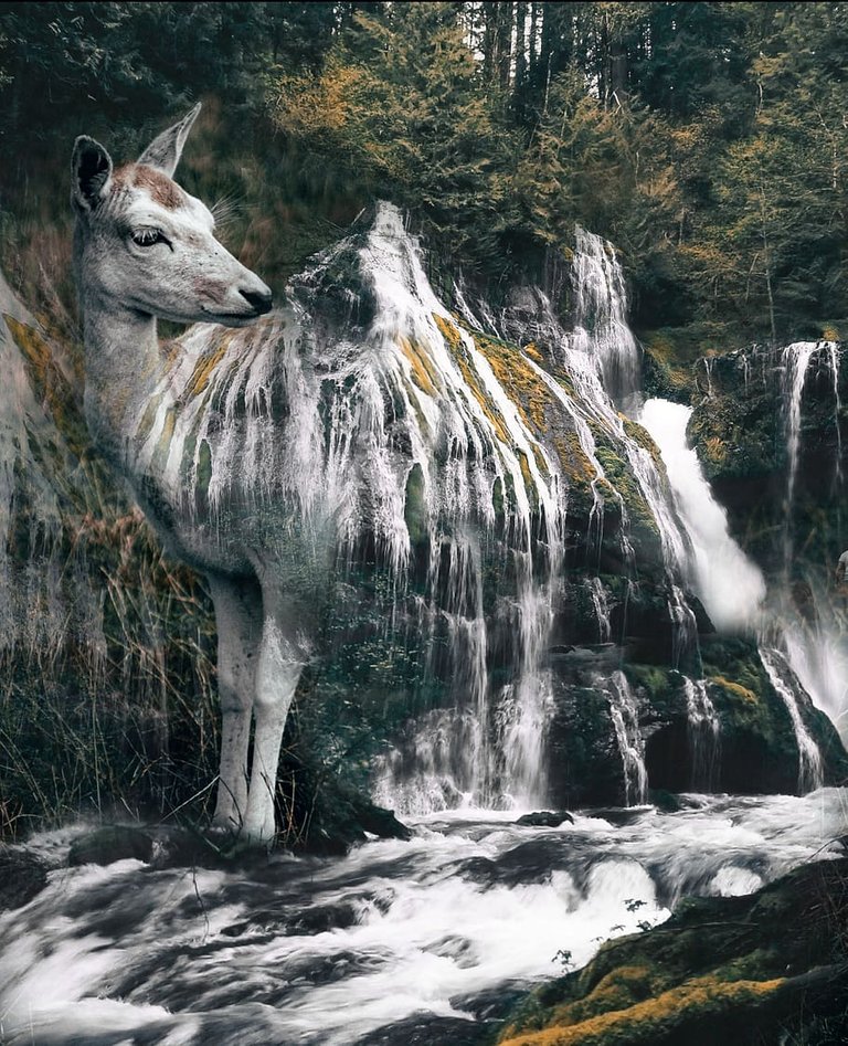 animal-waterfall-nature-background-shop-surrealism.jpg