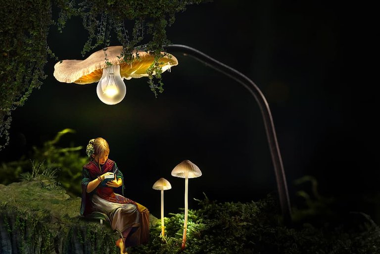 -PxFuel-fantasy-girl-forest-mushrooms-light-lamp.jpg