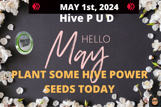 HIVE PUD 2024-MAY.png