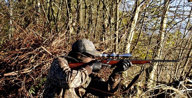 Pixabay-mtorben-hunting-3781222_640.jpg