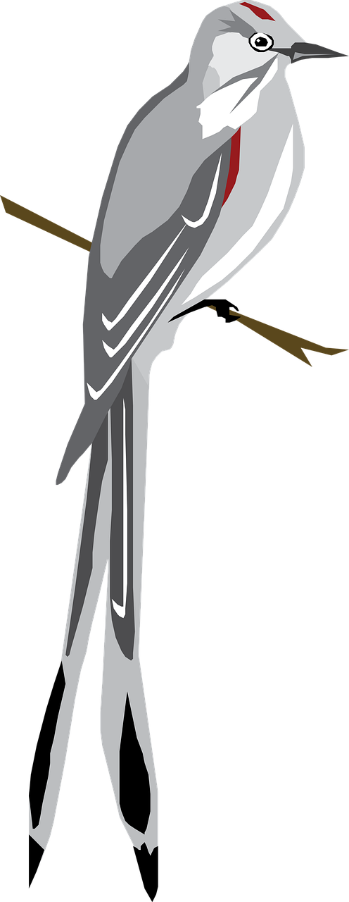 Pixabay-ArtsyBeeKids-on-limb-bird-5726348_1280.png