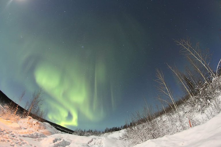 PxFuel-aurora-northern-lights-borealis-night-winter.jpg