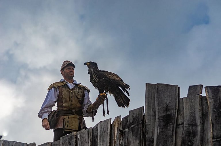 PxFuel-falconer-eagle-trainer-sky-blue-fier.jpg