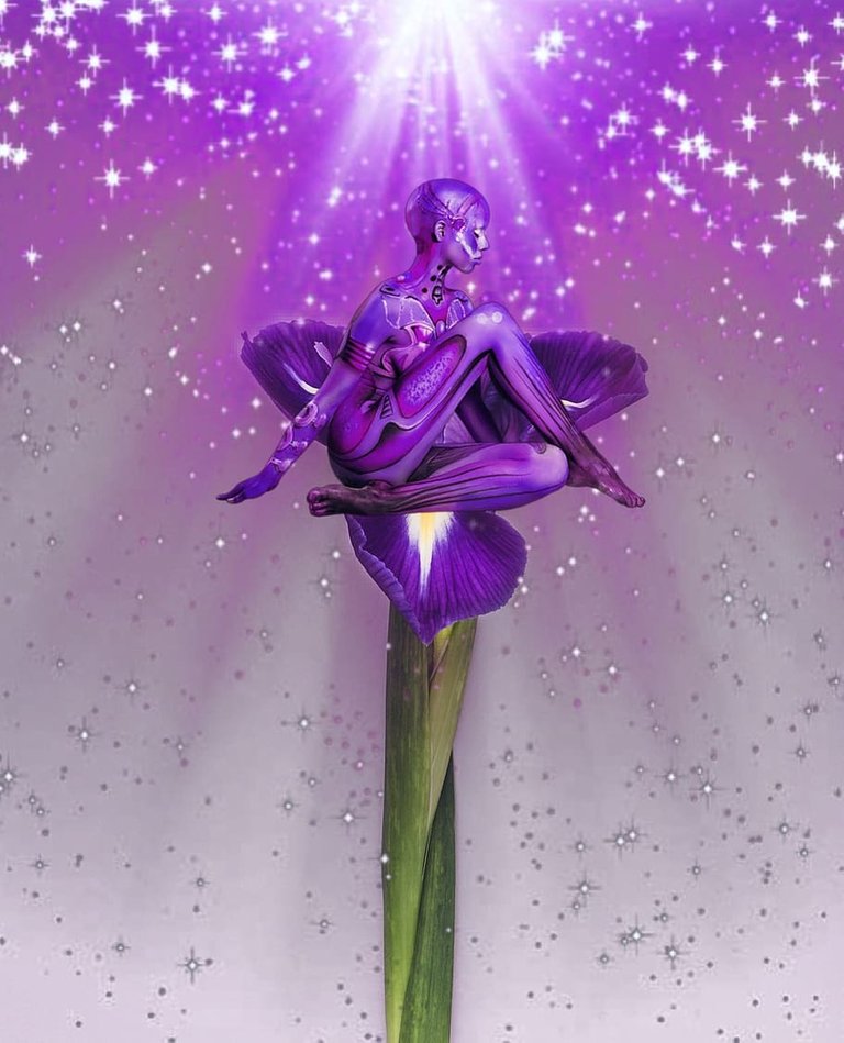 PxFuel-Purple-ballerina-in-flower-plant-nature-shell-garden-petal.jpg