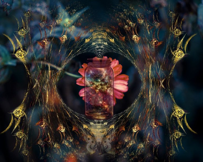 Apophysis-ThornsofPlenty.jpg