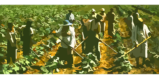 Pixabay-Clker-free-Vector-Images-farming-gbffba92bc_640.png