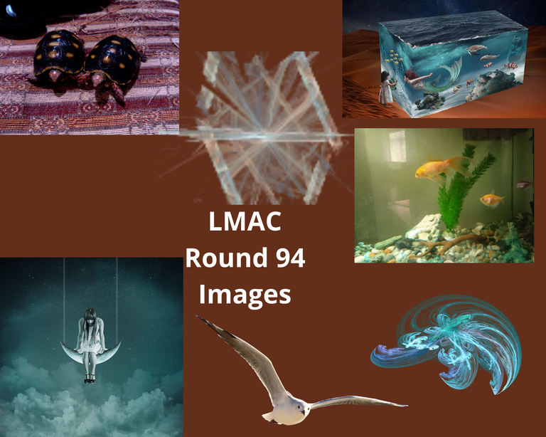 LMAC-Round94-Images.png