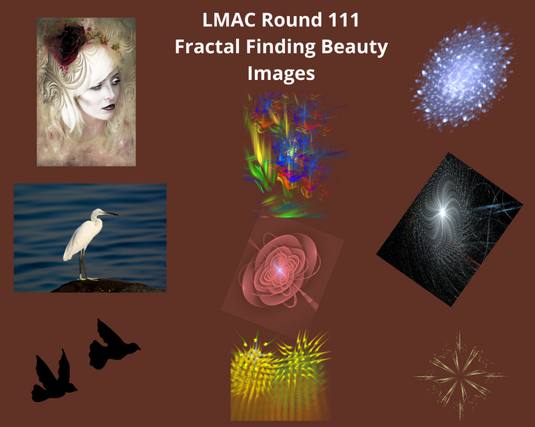 LMACRound111-FractalFindingBeauty-Images.png