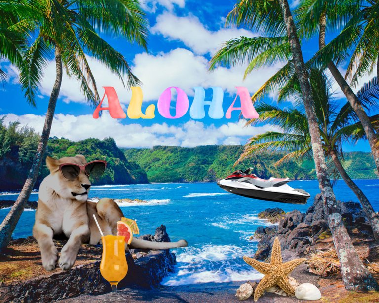 LMACRound135-hawaiitrip-FINAL.png