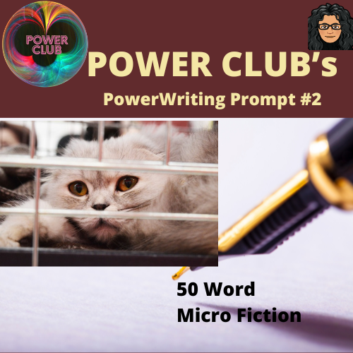 The Kitten Who Came In From the Cold | Power Club - PowerWriting Prompt:  No 2