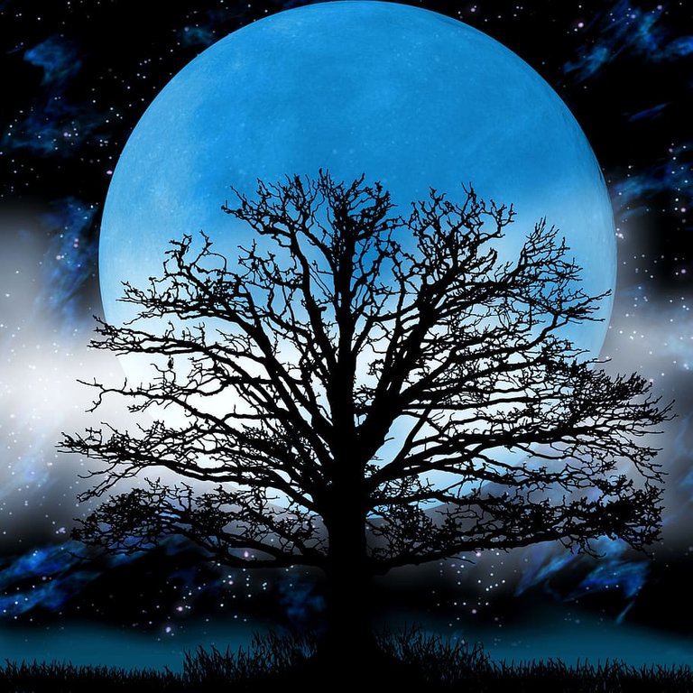 PxFuel-moon-tree-fog-fantasy.jpg