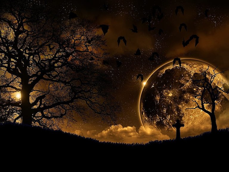 PxFuel-desktop-wallpaper-landscape-nature-birds-trees-night-dark-planet.jpg