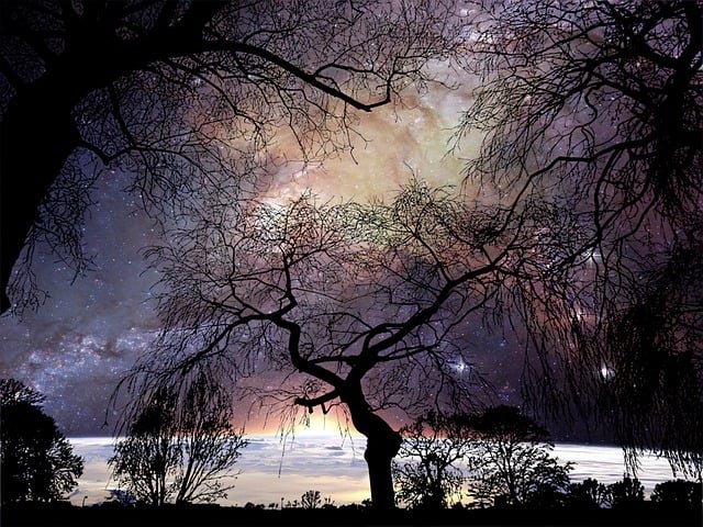 Pixabay-1tamara2-illuminated-forest-galaxy-7781223_640.jpg