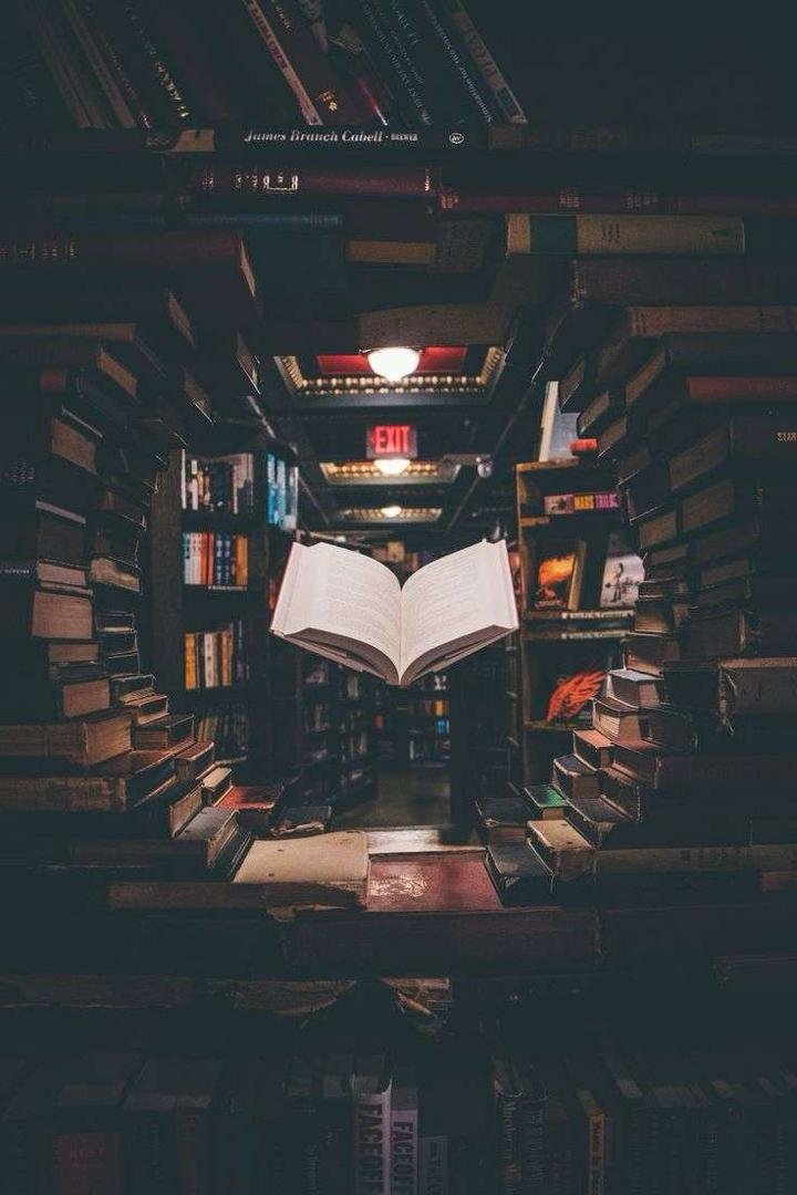 Review: Arranger Of Marriage By Chimamanda Ngozi Adichie 