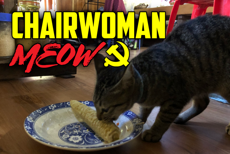 😼 Kitty Finally Gets A Name & Gives Veganism A Try 🎖️ ChairWoman "Meow" ☭