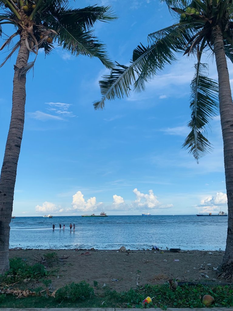 IMG_6009.jpeg