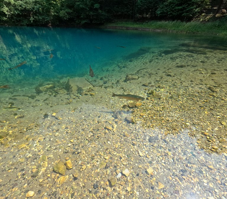 GOPR1190.JPG