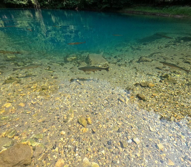 GOPR1191.JPG
