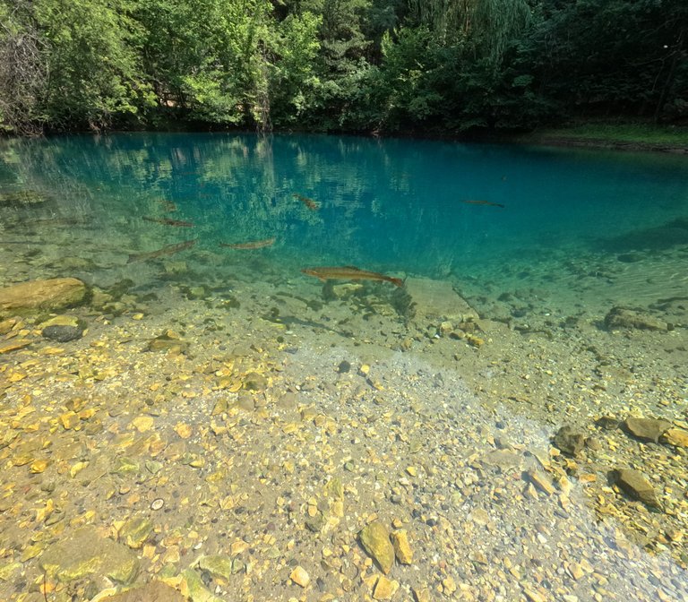 GOPR1188.JPG