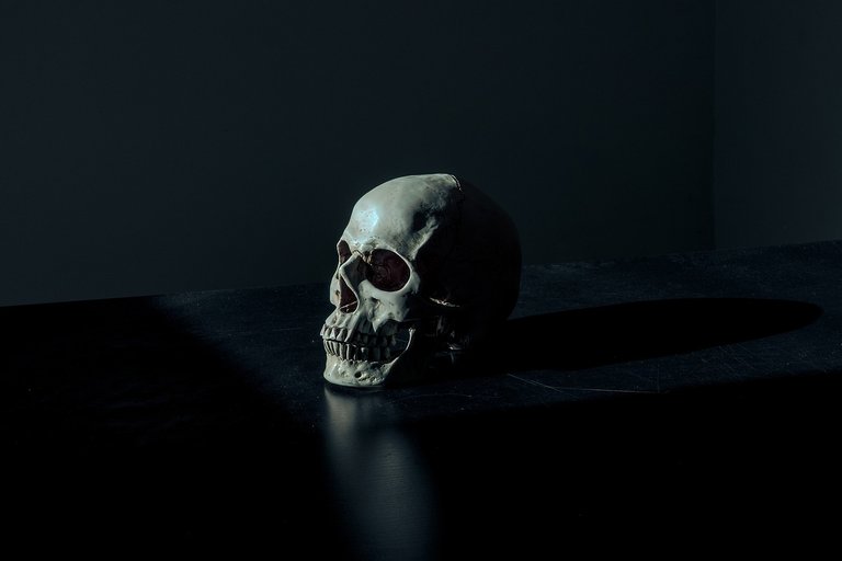 skull-1867707_1280.jpg