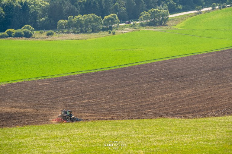 DSC_0686.jpg