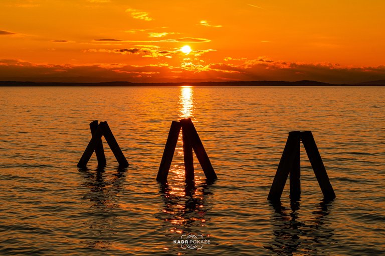 DSC_5919.jpg
