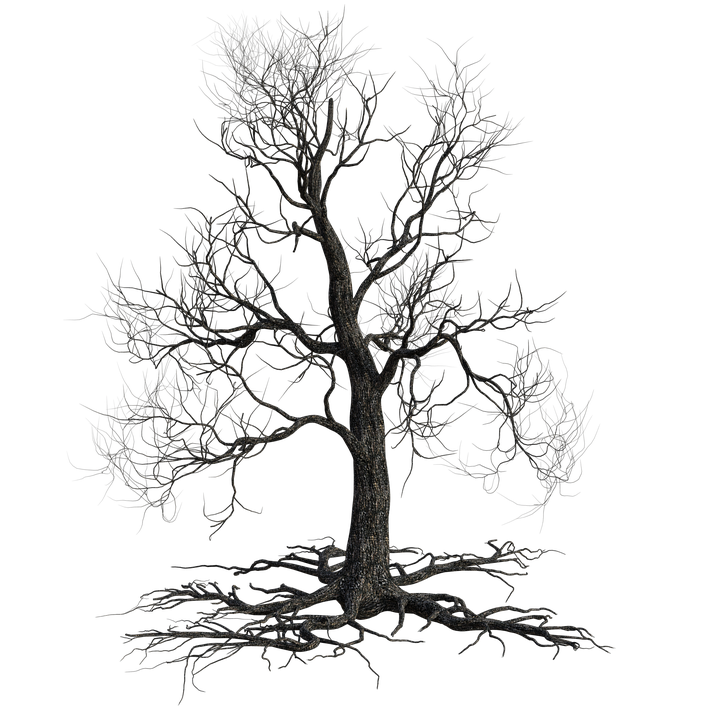 creepy-tree-4567461_960_720.png