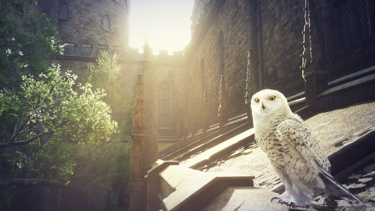 HogwartsLegacy Screenshot 2023.02.09 - 07.32.07.53.png