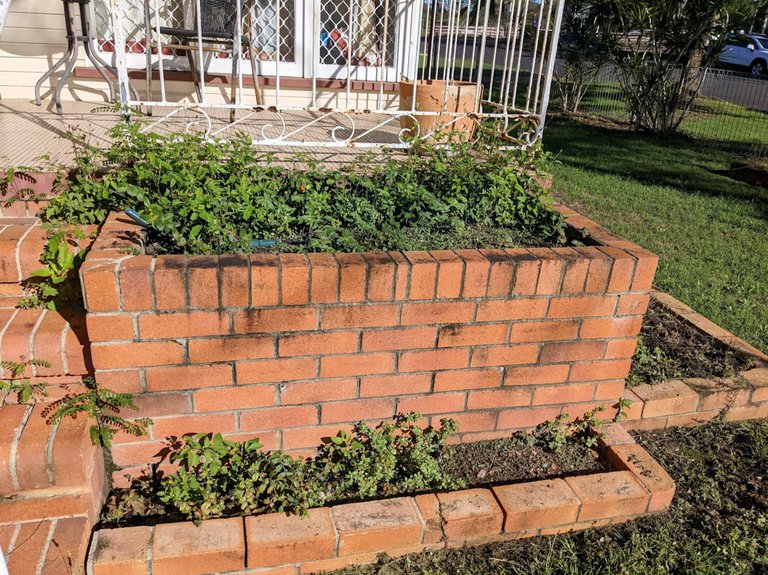 kaelci peakd hive blog garden verandah mess weeds.jpg