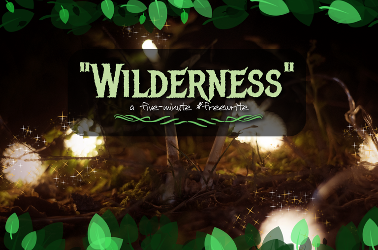 wildernessheader.png