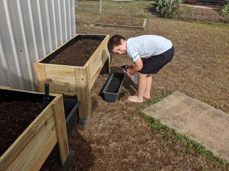 kaelci hive peakd vegetable garden child watering.jpg