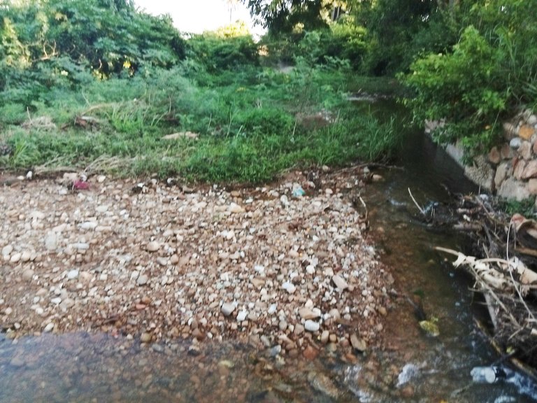 AguaCasimba.jpg