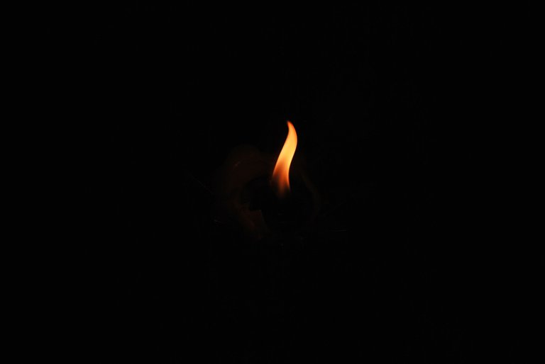 DSC_1019.JPG