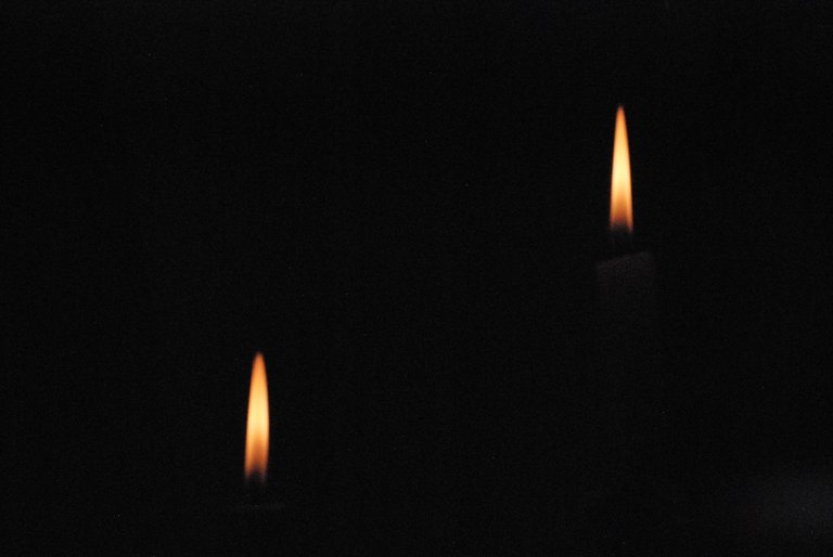DSC_0768.JPG