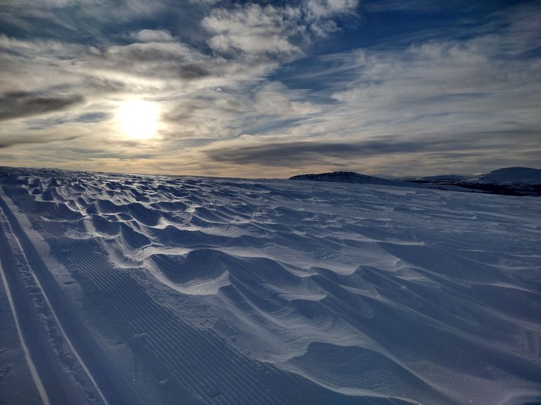 Wind-blown waves in the snow