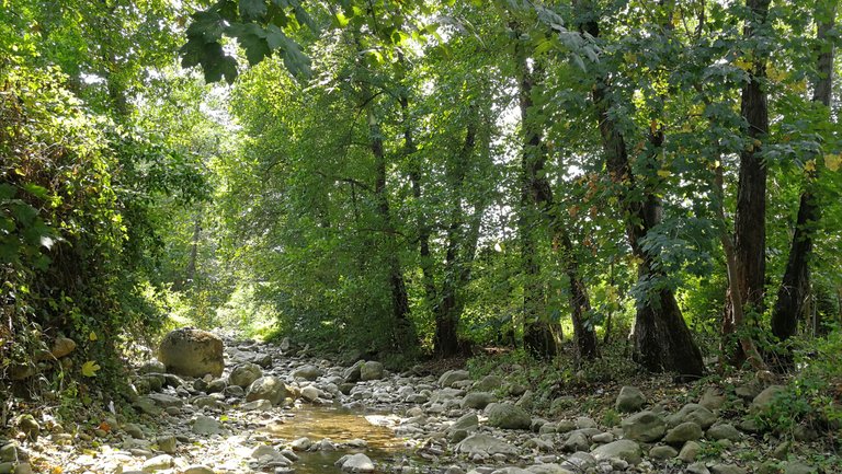 Tirkan river - Kardegarkola