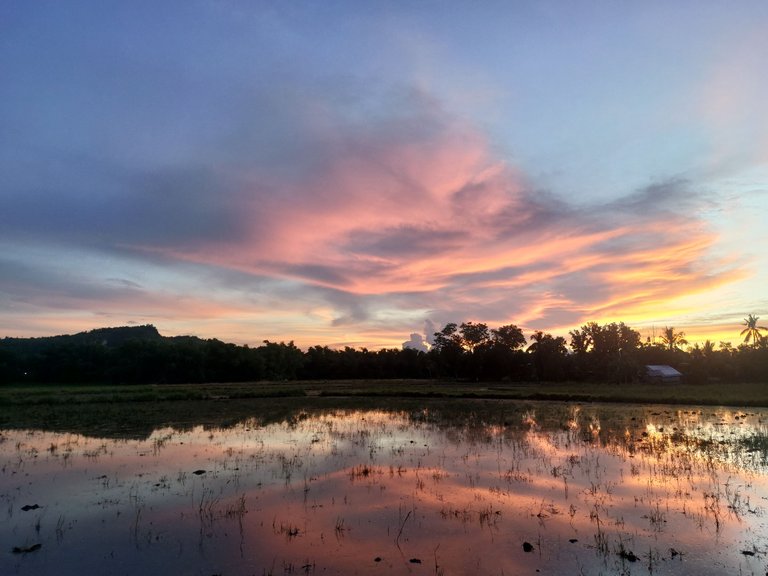 A Sunday walk and my wandering thoughts about beauty and self-esteem: Do they really matter?