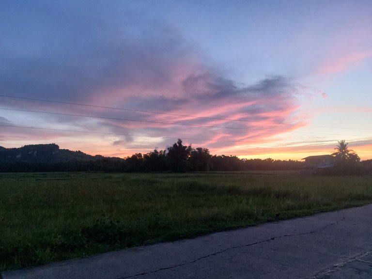 20250511_181539.jpg