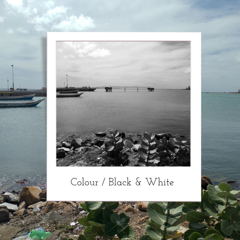 Colour ) Black & White_20250204_183822_0000.png