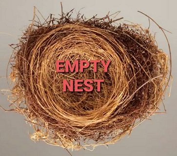 EMPTY NEST.jpg