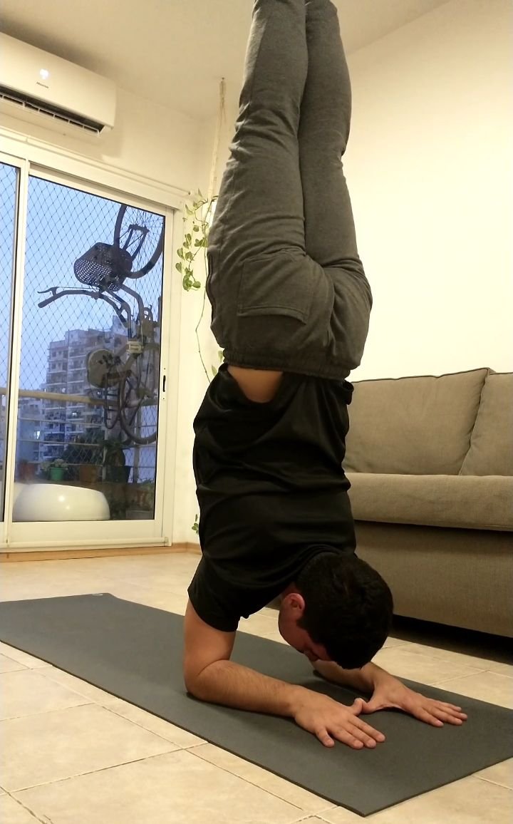 Pincha Mayurasana.jpg