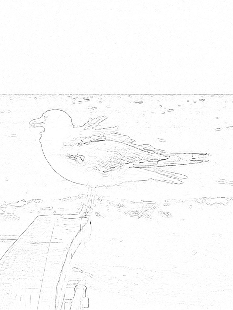 IMAGE_SKETCH.png