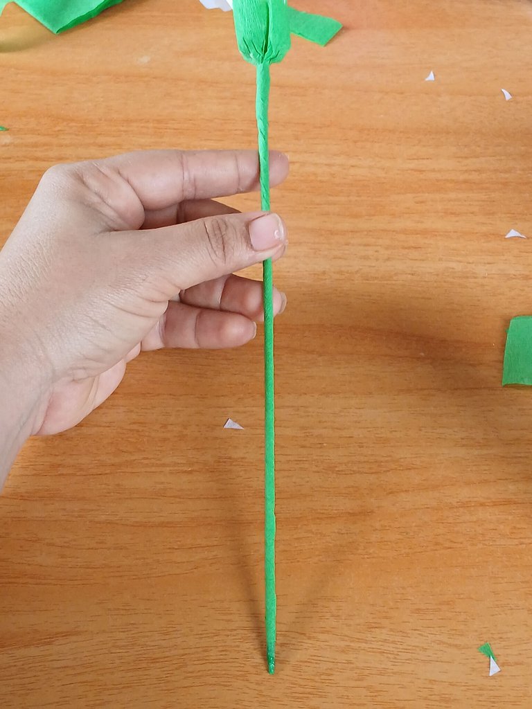 1000099742.jpg