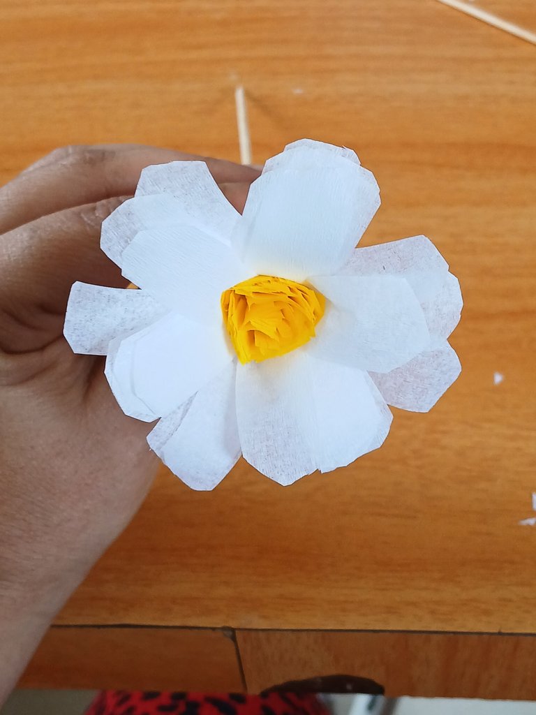 1000099771.jpg