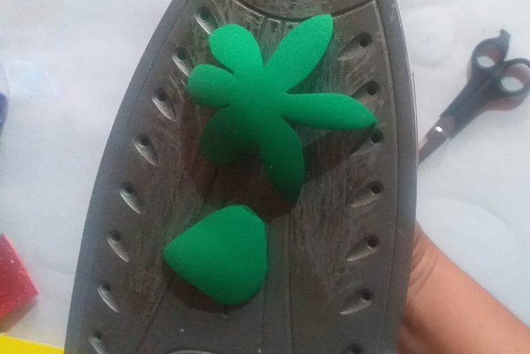 20210610_124300.jpg