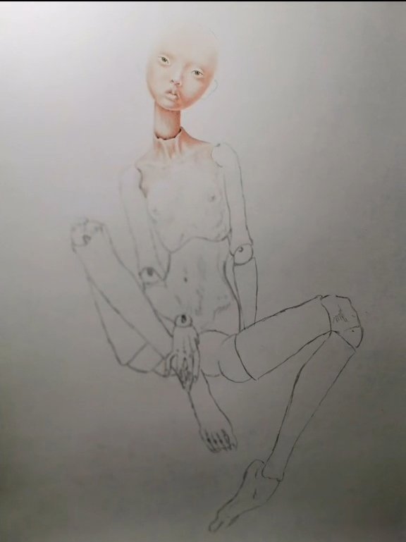 s2.jpg