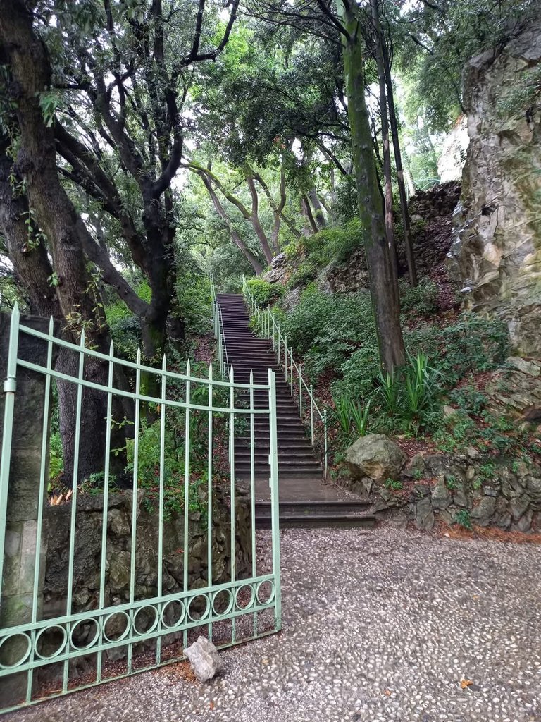 1749136_849213.jpg