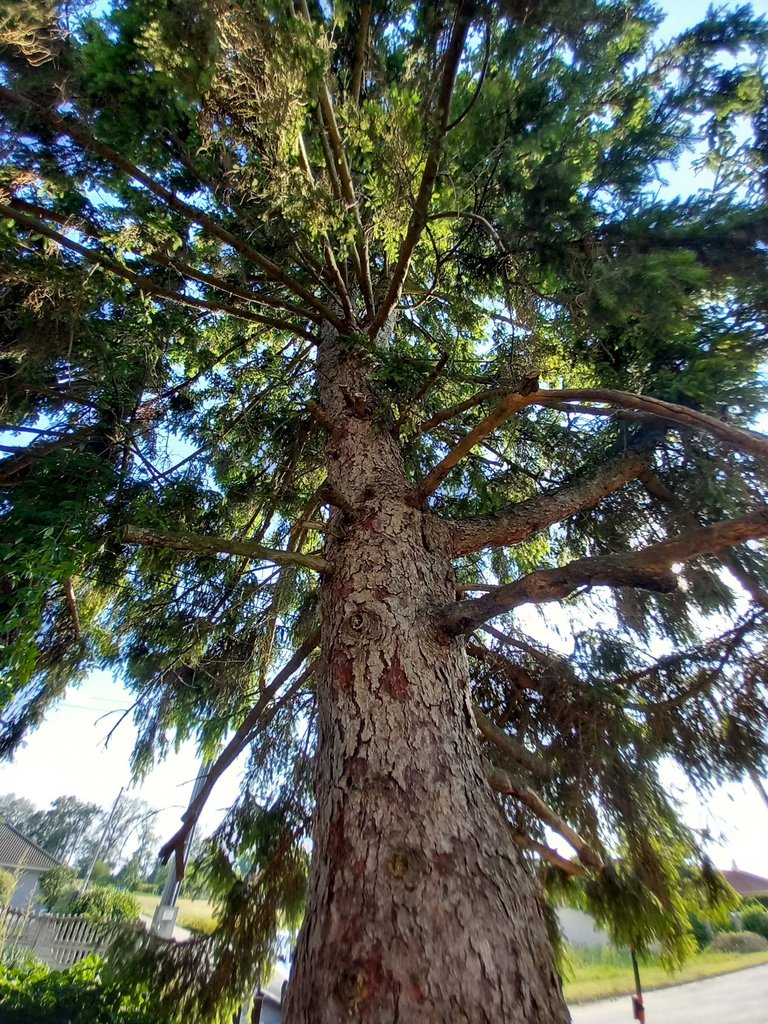 20250706_173219.jpg