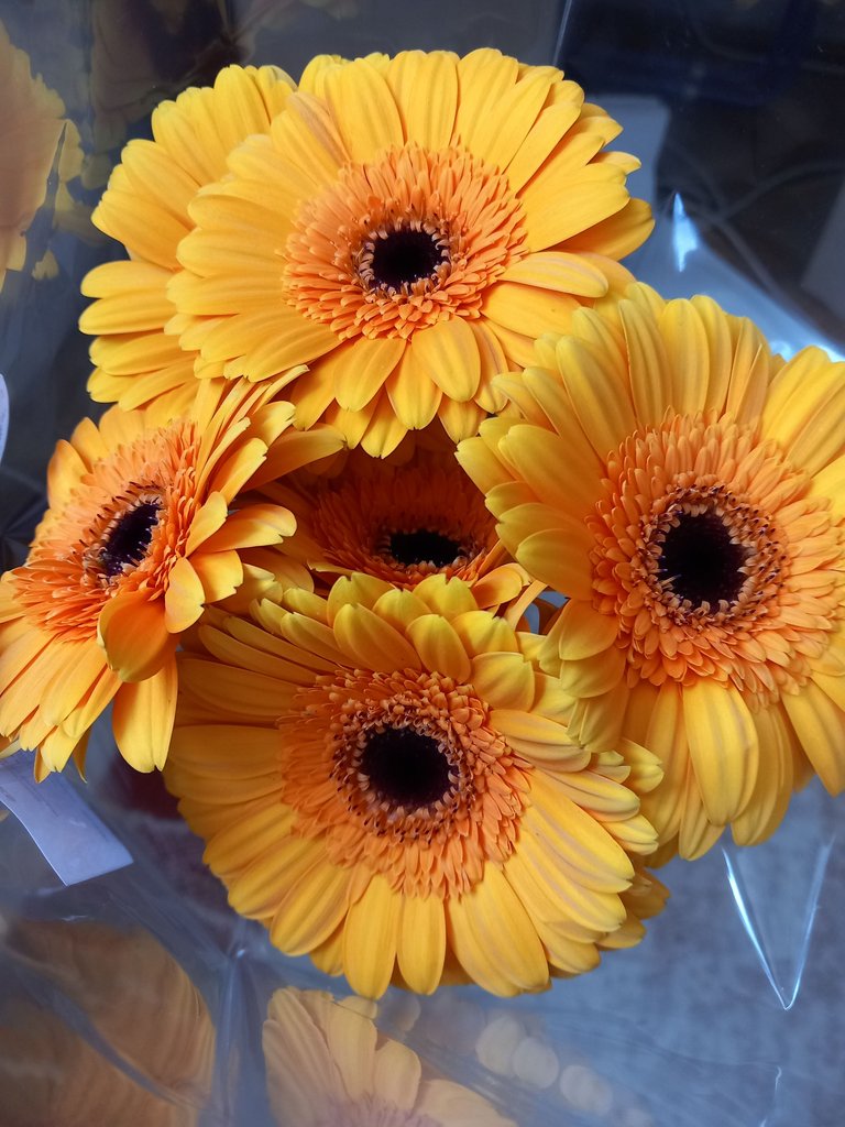 1000017709.jpg